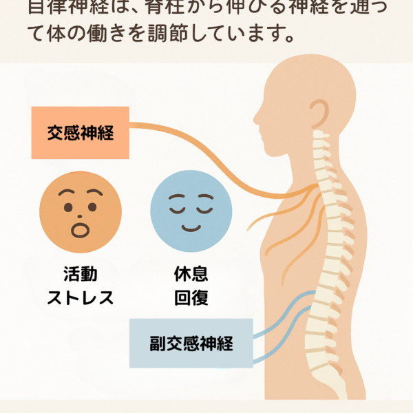 あなたは何モード？【恵比寿/腸もみ/ヘッドマッサージ】
